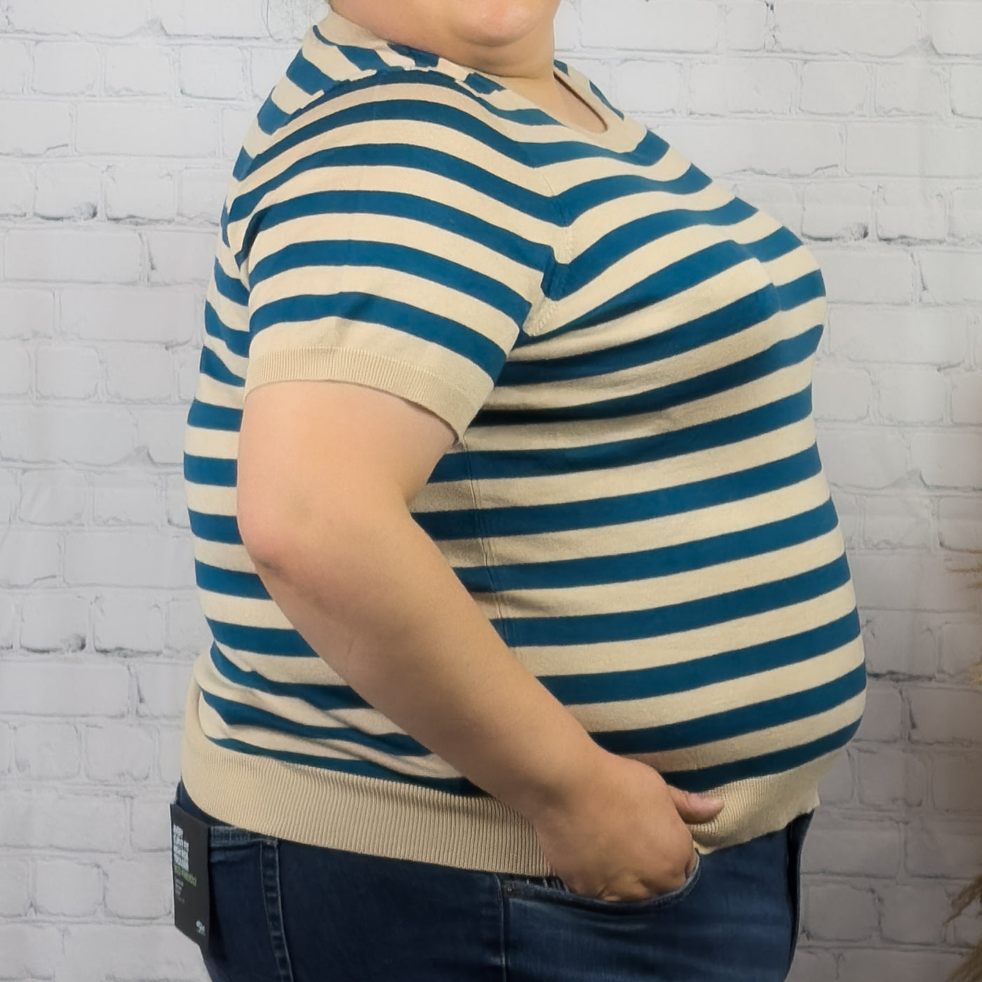 Plus sized striped knit short sleeved sweater 